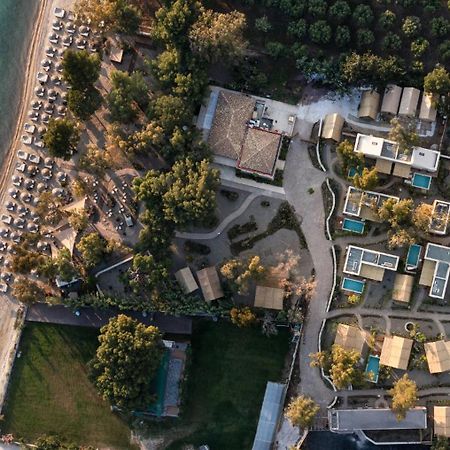 Ergon Beach House Nikiti ภายนอก รูปภาพ