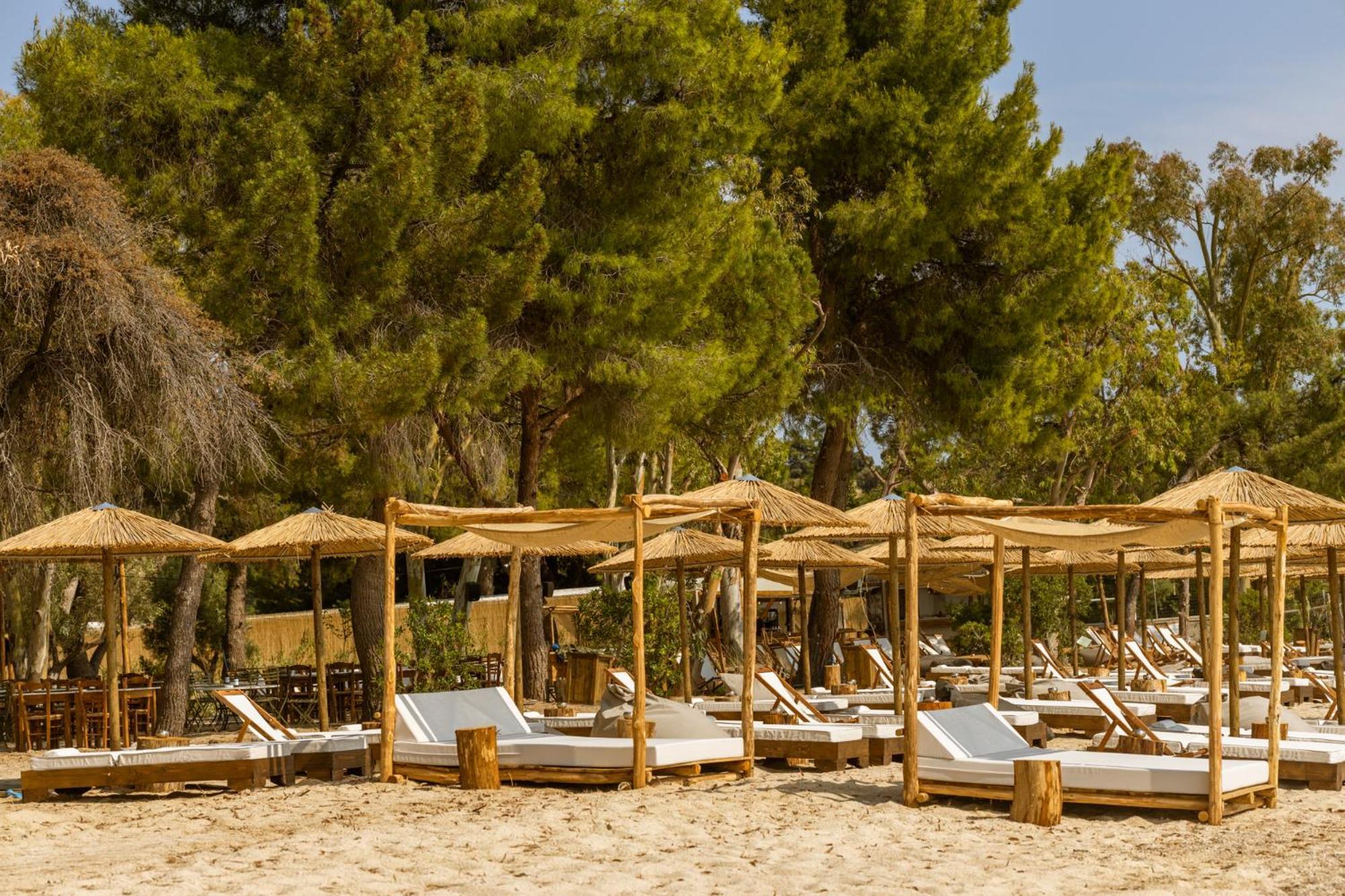 Ergon Beach House Nikiti ภายนอก รูปภาพ